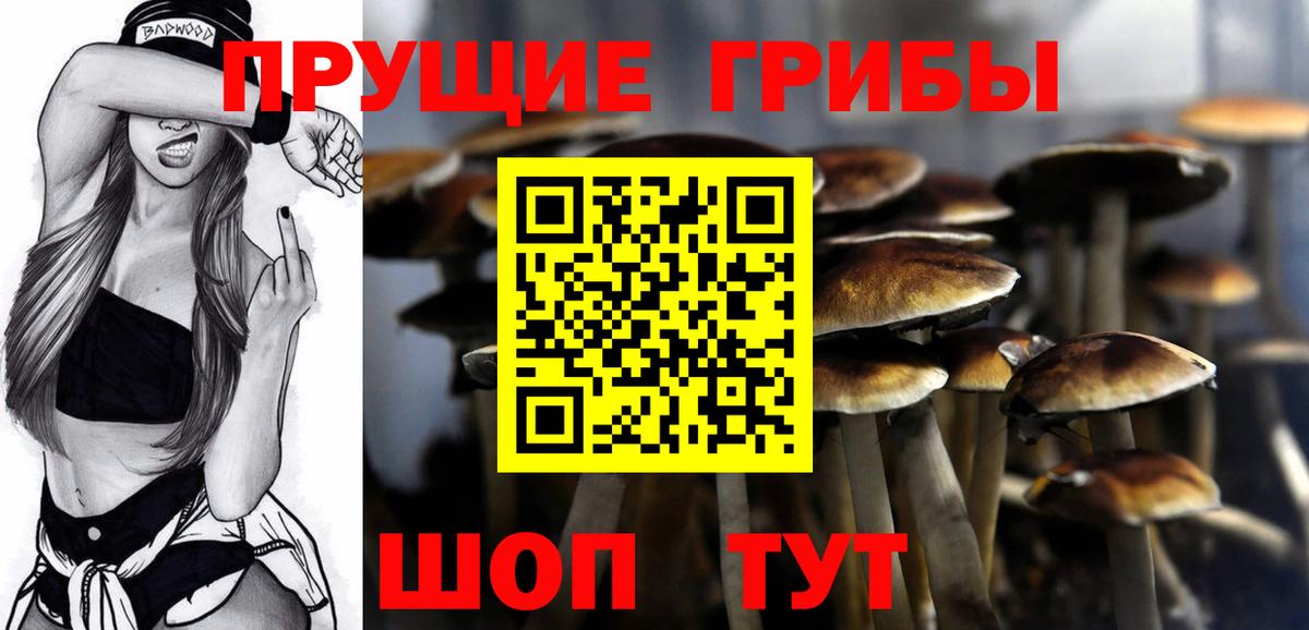 Миасс  Галлюциногенные грибы прущие грибы  Вход с VPN 